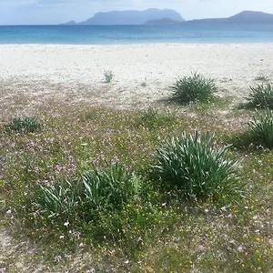 Maestrale , Olbia Italia